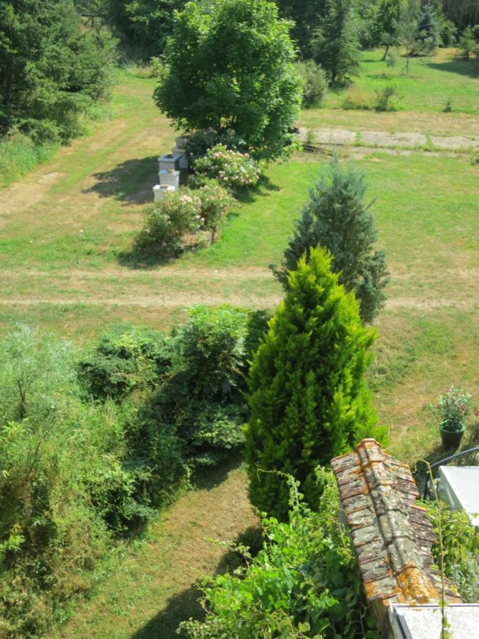 Chambres D'Hotes Du Moulin De La Chaussee Saint-Denis-d'Orques Exteriér fotografie